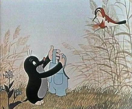 Встреча бусоводов VW T серии "Обрыв любви 2019" — Volkswagen Multivan ...