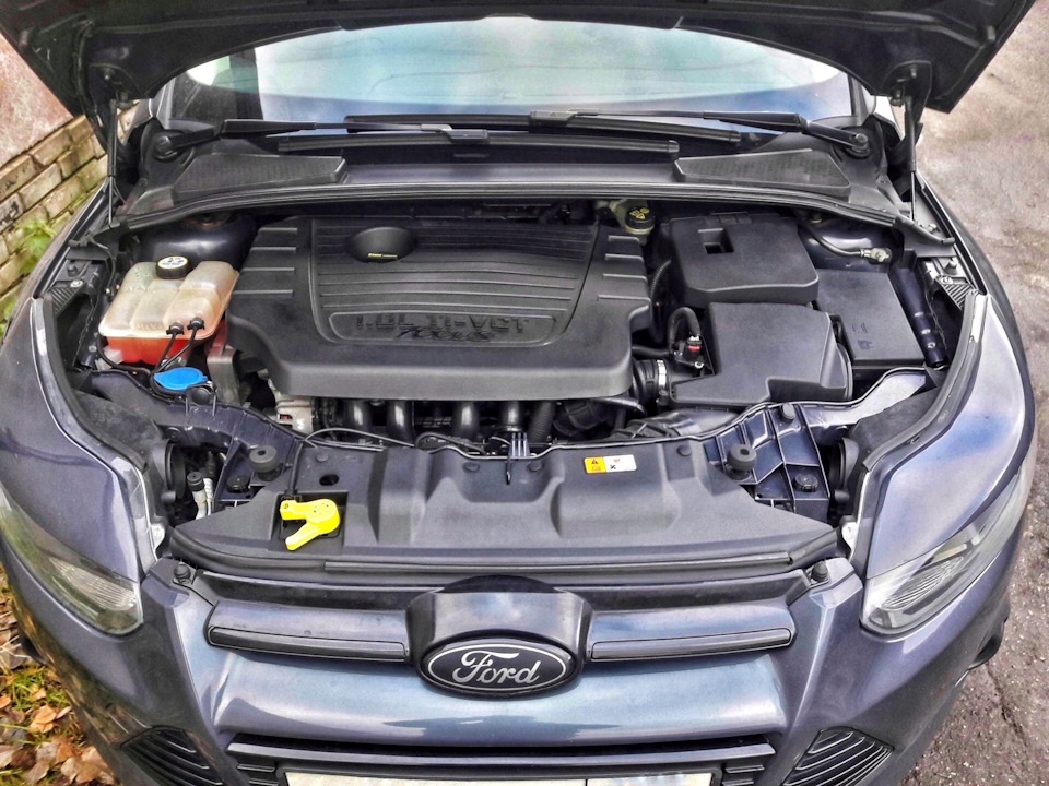 По традиции обязательная ежемесячная помывка внутренностей ))) — Ford Focus Hatchback III