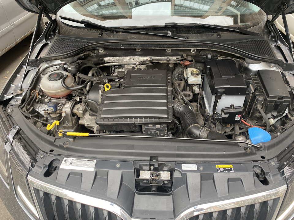 Фото в бортжурнале Skoda Octavia A7 Mk3