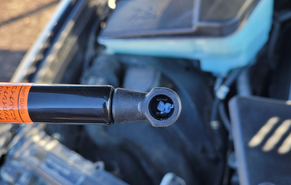 Фото в бортжурнале BMW X5 (E53)