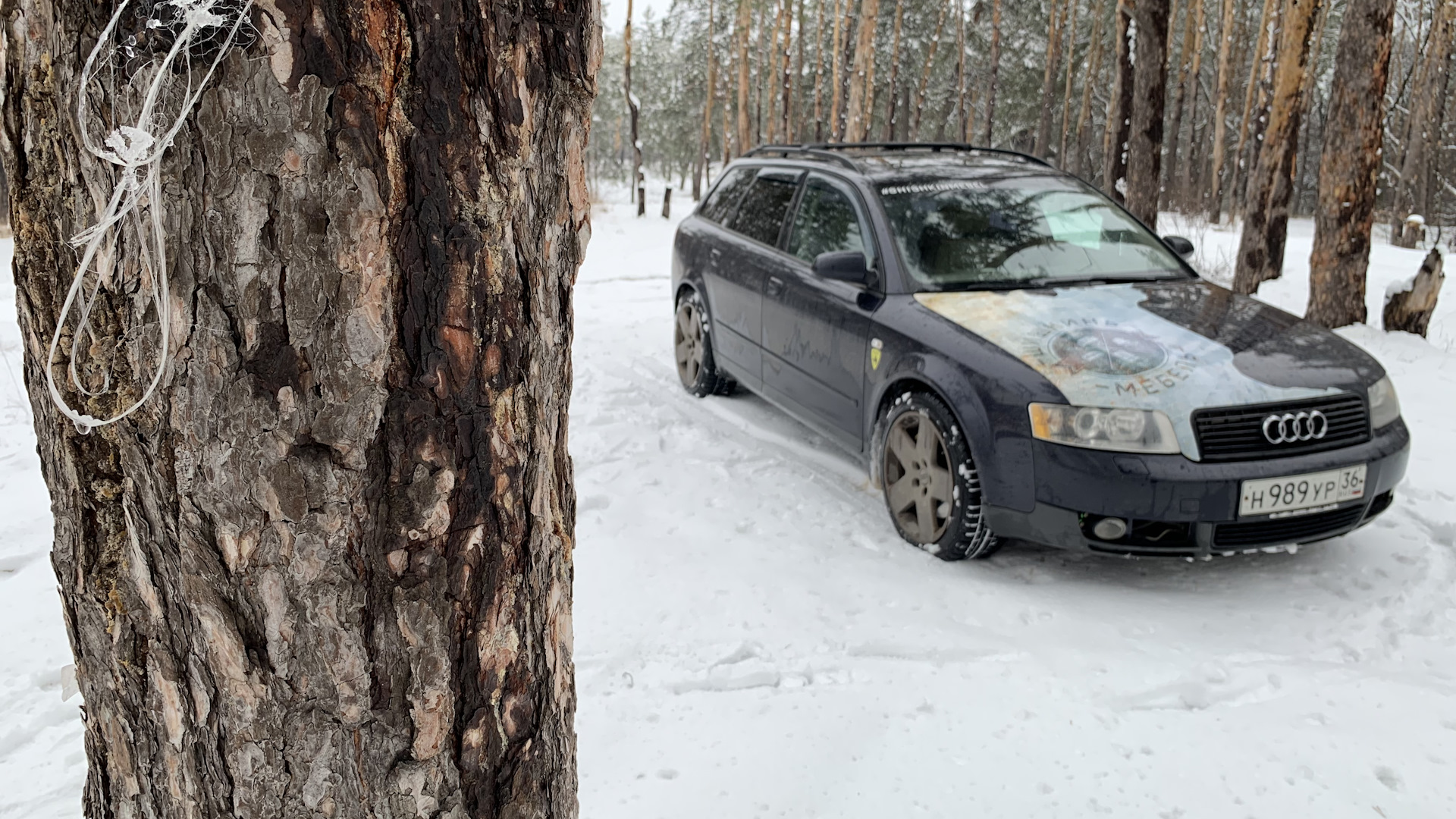 Audi A4 Avant (B6) 1.8 бензиновый 2003 | Догонялка на DRIVE2