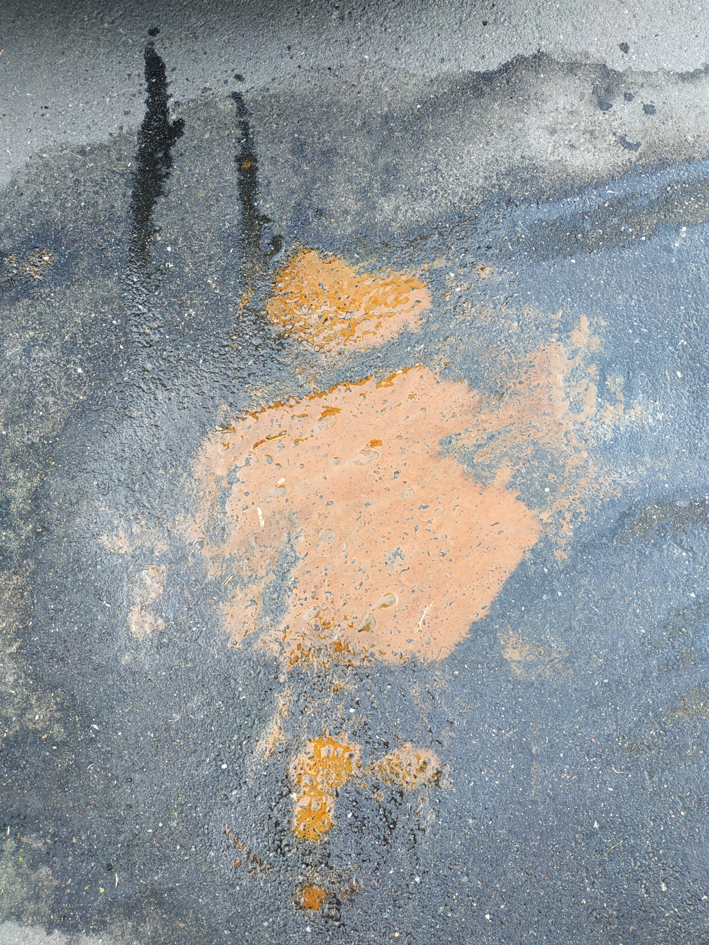 Срочно нужен совет — эмульсия Опель Астра h — Opel Astra H, 1,6 л, 2013 ...