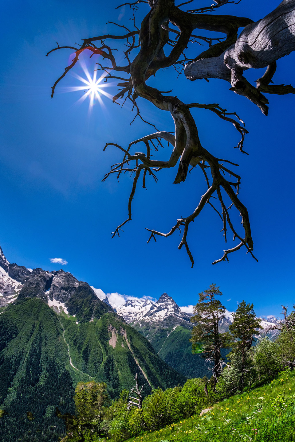 Фото в бортжурнале Renault Kaptur (2020)