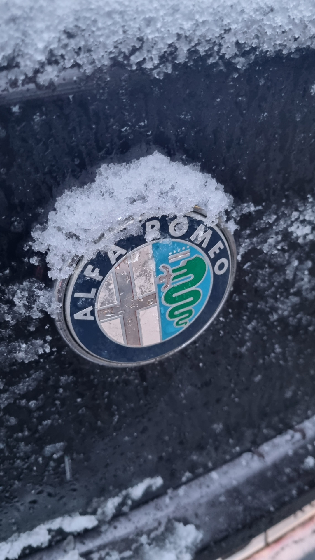 Заменил масла — Alfa Romeo Mi.To, 1,4 л, 2008 года | визит на сервис ...