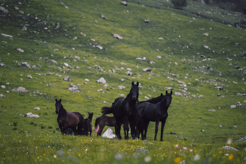 Река маруха карачаево черкессия что означает название. RKWNDaB5pLv4f9gQWtHuvLyS4Tw 960. Река маруха карачаево черкессия что означает название фото. Река маруха карачаево черкессия что означает название-RKWNDaB5pLv4f9gQWtHuvLyS4Tw 960. картинка Река маруха карачаево черкессия что означает название. картинка RKWNDaB5pLv4f9gQWtHuvLyS4Tw 960. Река Маруха протекает по территории туристического района Архыза в Карачаево-Черкесской республике. Река маруха карачаево черкессия что означает название. RKWNDaB5pLv4f9gQWtHuvLyS4Tw 960. Река маруха карачаево черкессия что означает название фото. Река маруха карачаево черкессия что означает название-RKWNDaB5pLv4f9gQWtHuvLyS4Tw 960. картинка Река маруха карачаево черкессия что означает название. картинка RKWNDaB5pLv4f9gQWtHuvLyS4Tw 960. Река Маруха протекает по территории туристического района Архыза в Карачаево-Черкесской республике.