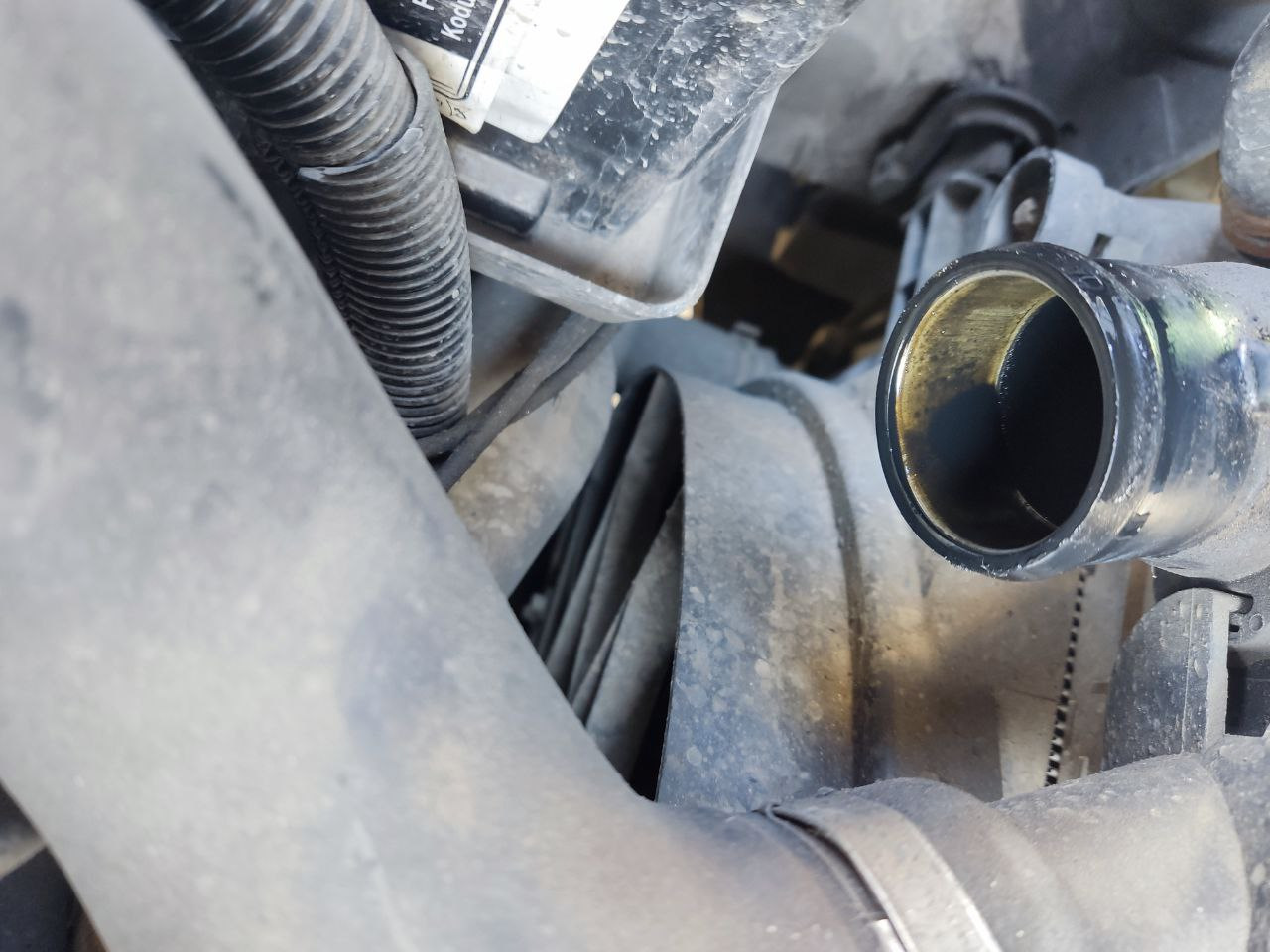 Вопрос — Масло в патрубке после интеркулера — Opel Zafira A, 2,2 л ...