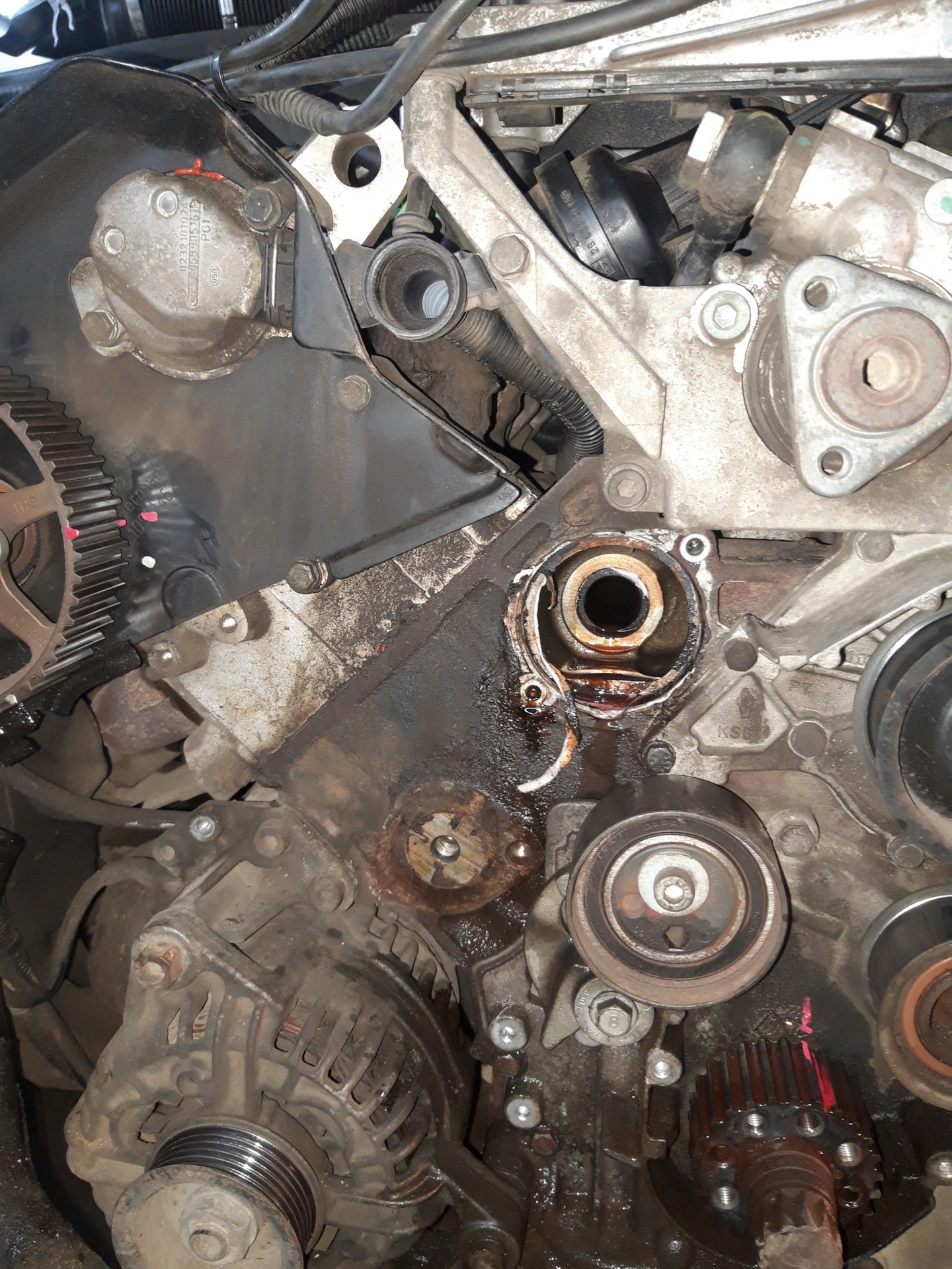 Замена грм — Audi A6 (C5), 2,4 л, 2003 года | плановое ТО | DRIVE2