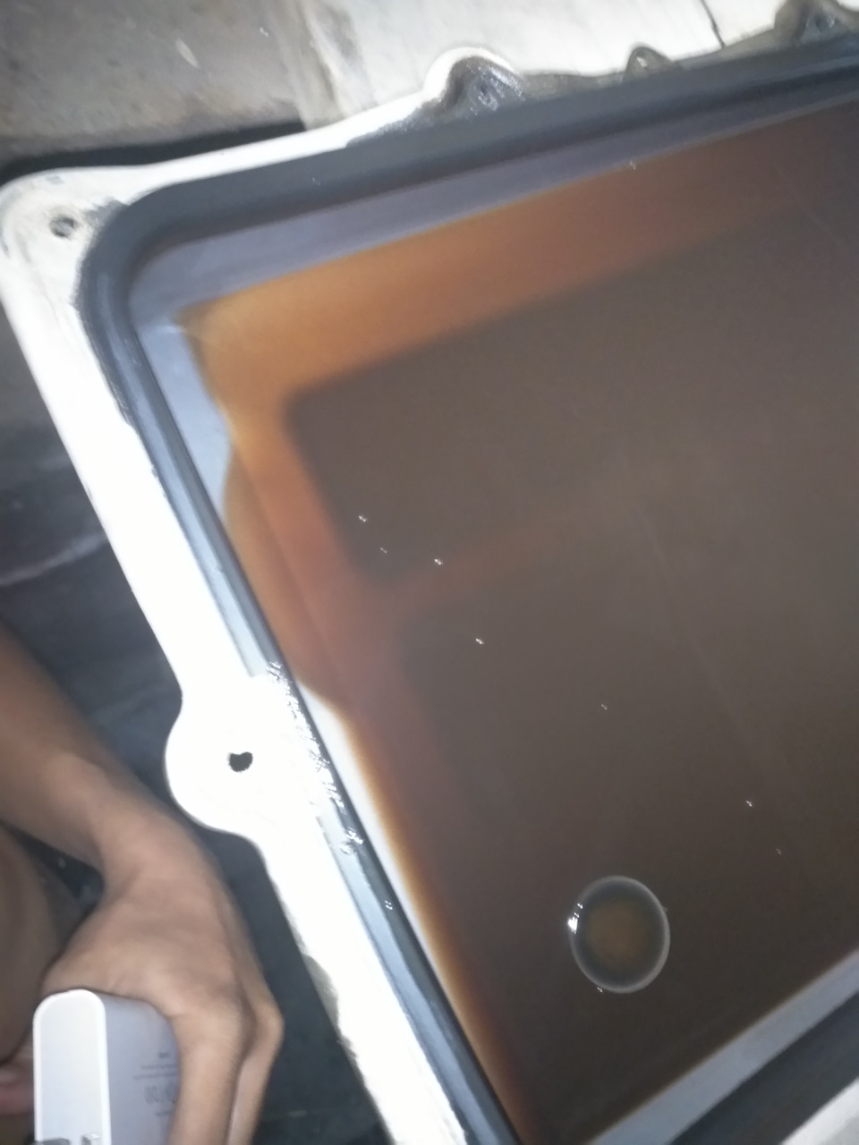 Фото в бортжурнале SsangYong Kyron