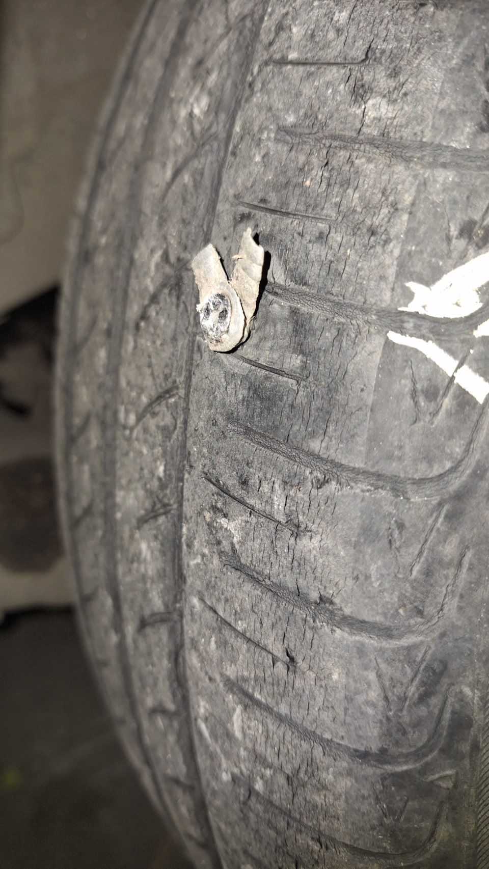 Какие летние шины выбрать (производитель) ? — Toyota Ipsum (10), 2 л ...