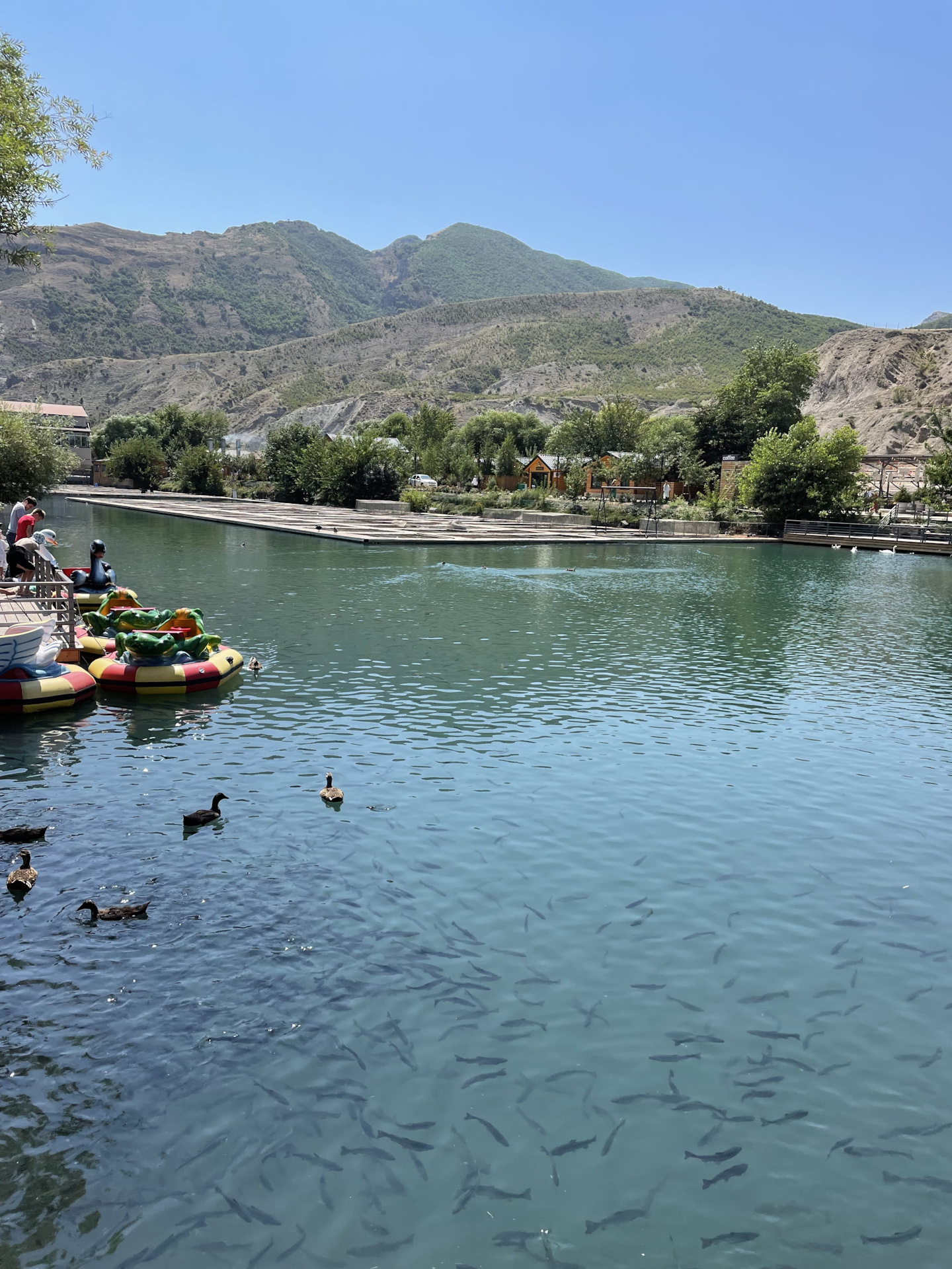 Главрыба в дагестане фото аквапарк