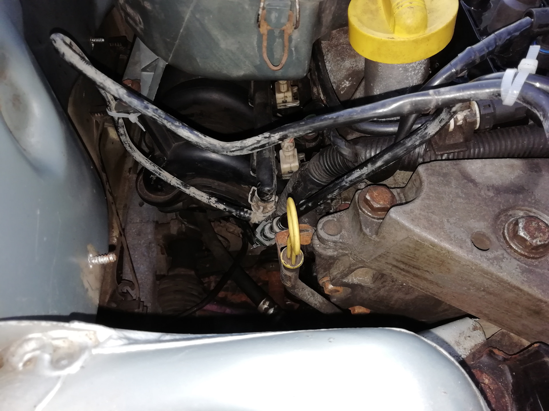 Поменял топливный фильтр - Renault Megane III, 1,5 л, 2009 года плановое ТО DRIV