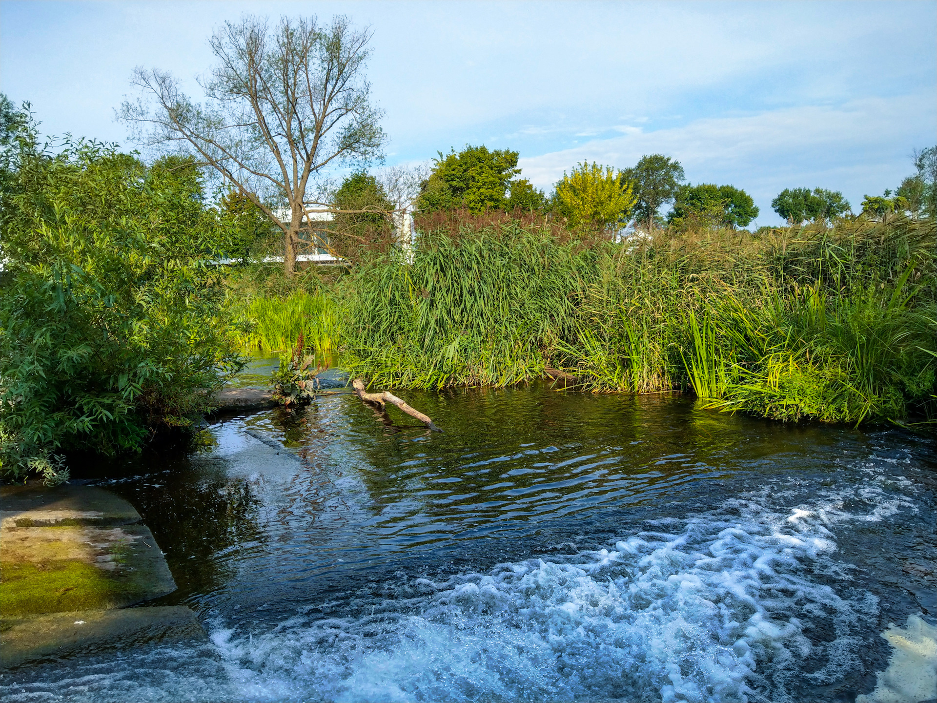 Дождался :) — DRIVE2