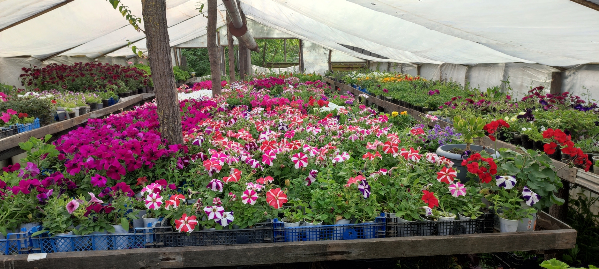 Подтяжка ручника. Ремонт подкатного домкрата Airline. Устранение скрипа ...