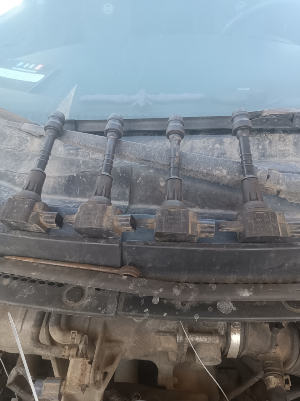 Фото в бортжурнале Nissan Primera (P12)