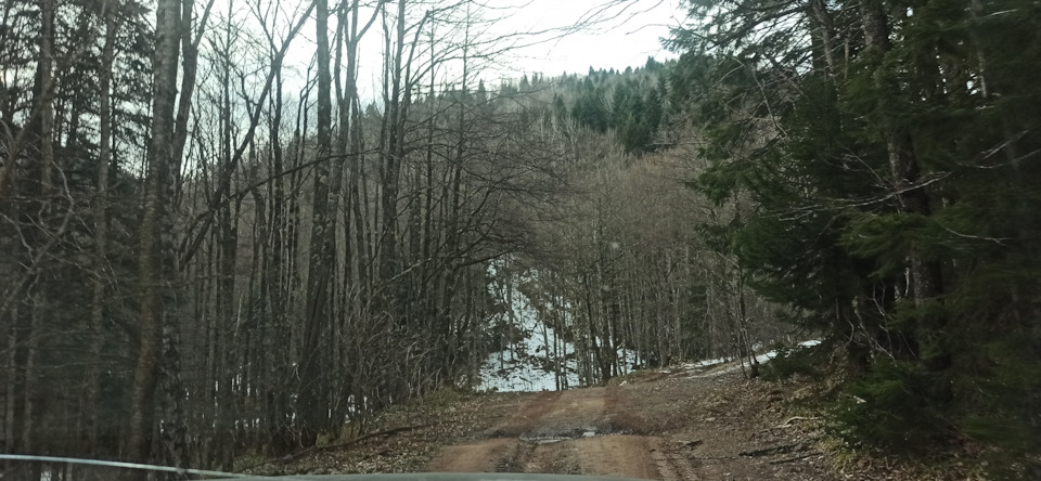 Фото в бортжурнале Mitsubishi Pajero (4G)