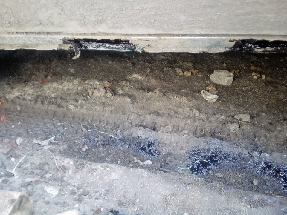 За простит меня Гринпис и Гретый Тумблер. — Lada 2120 Надежда