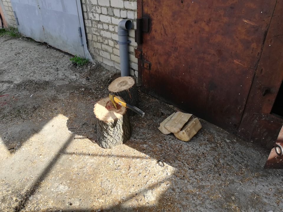 Санитарная обрезка деревьев = халявные дрова. — DRIVE2