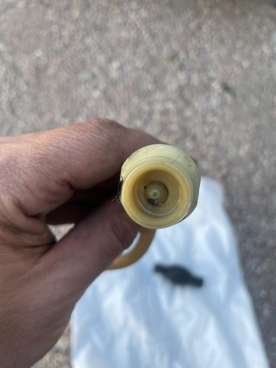 Ремонт груши подкачки топлива. — Renault Master (3G), 2,3 л, 2016 года ...