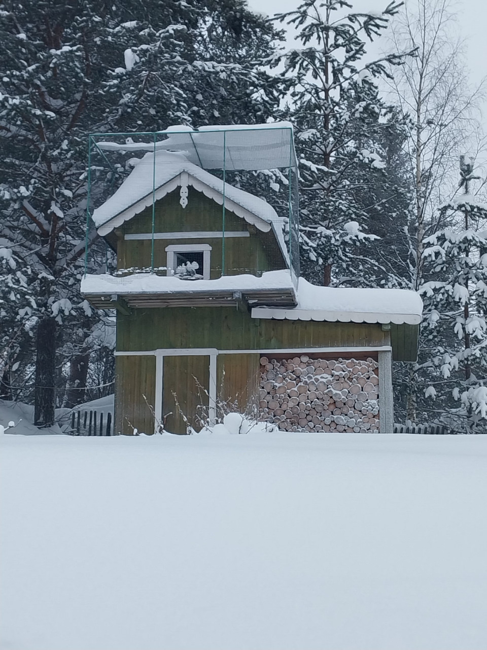 озеро шуя карелия. лучшее время для карелии. заповедник кивач в карелии. терра нордика сортавала. ладожское озеро монастырь валаам.