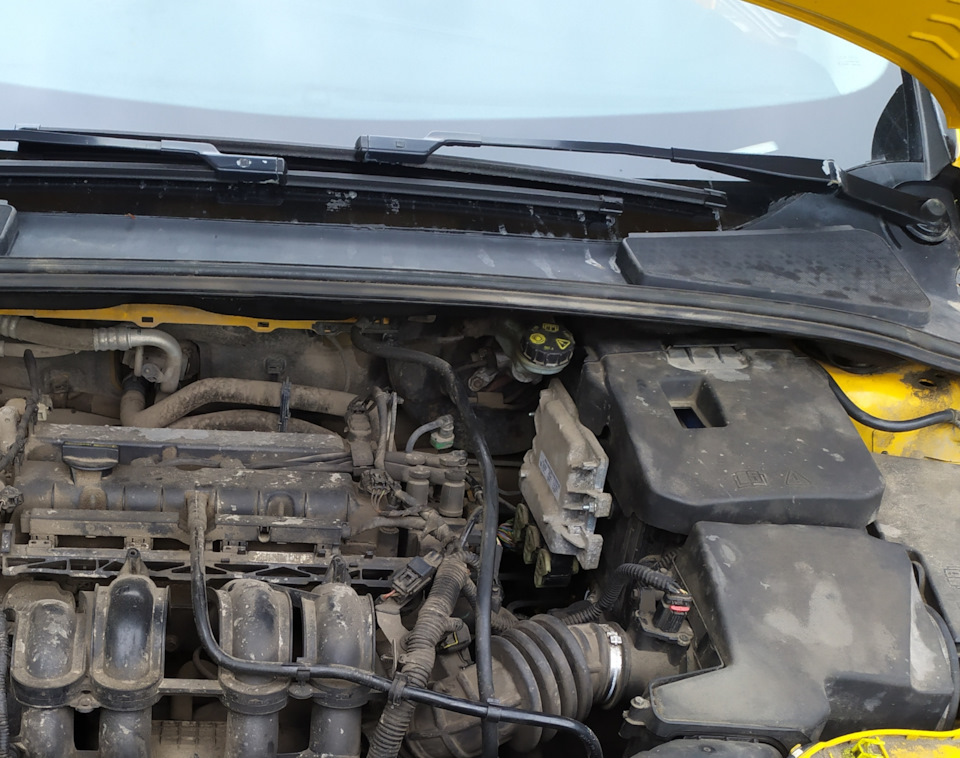 Пересадка мозга — Ford Focus III Wagon, 1,6 л, 2016 года | другое | DRIVE2