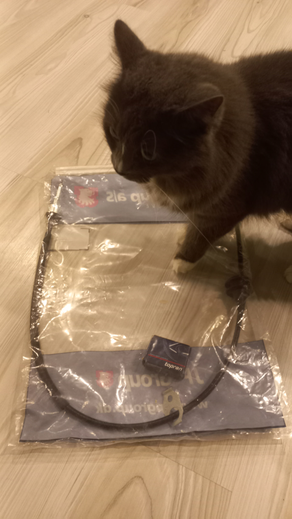 Замена троса спидометра — Volkswagen Golf Mk2, 1,6 л., 1984 года ...