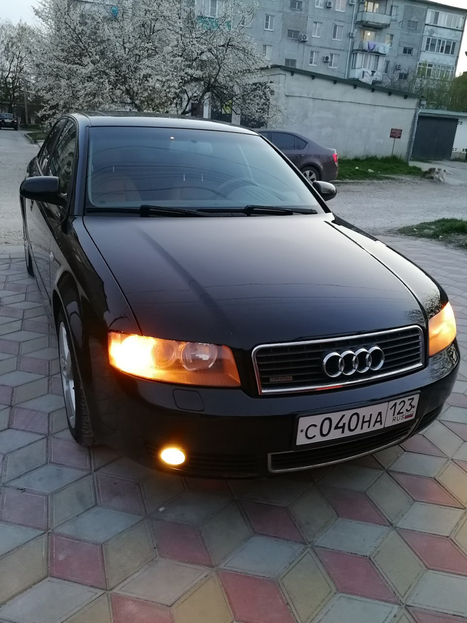 Он вернулся… — Audi A4 (B6), 1,8 л, 2004 года | покупка машины | DRIVE2