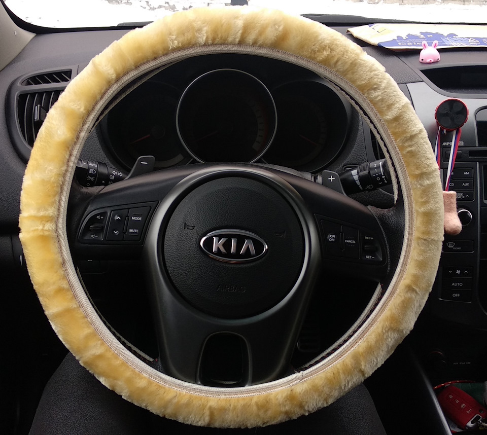 Про ништяки! 😋 — KIA Cerato (2G), 2 л, 2011 года | аксессуары | DRIVE2