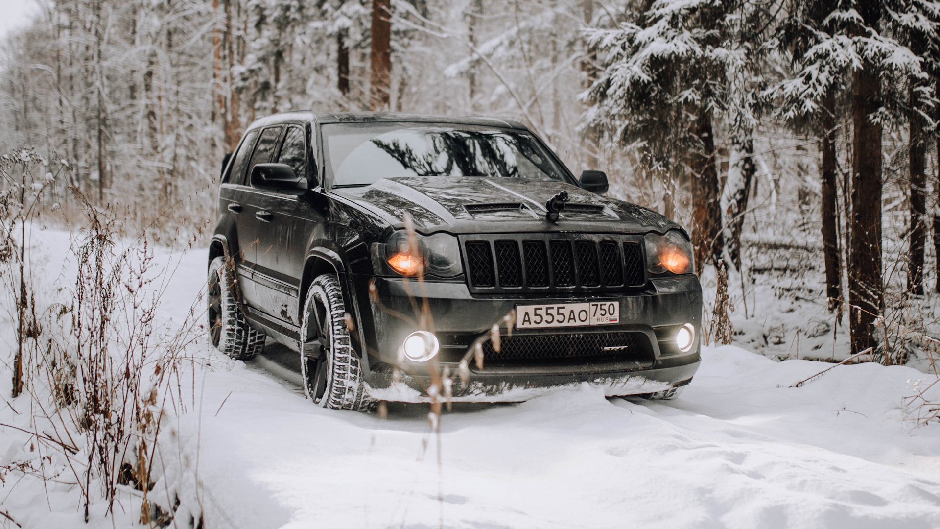 Jeep Grand Cherokee SRT-8 (WK) 6.1 бензиновый 2009 | на DRIVE2