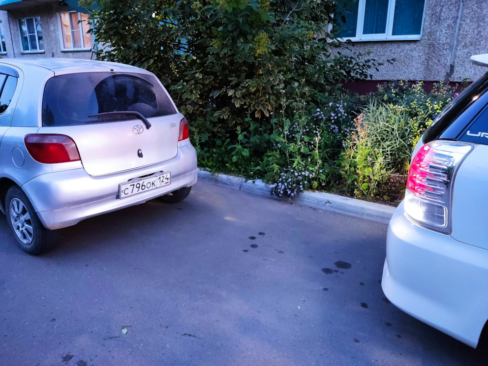 Диоды в фонари заднего хода.Рыжики в габариты. — Toyota Wish (AE10), 1 ...