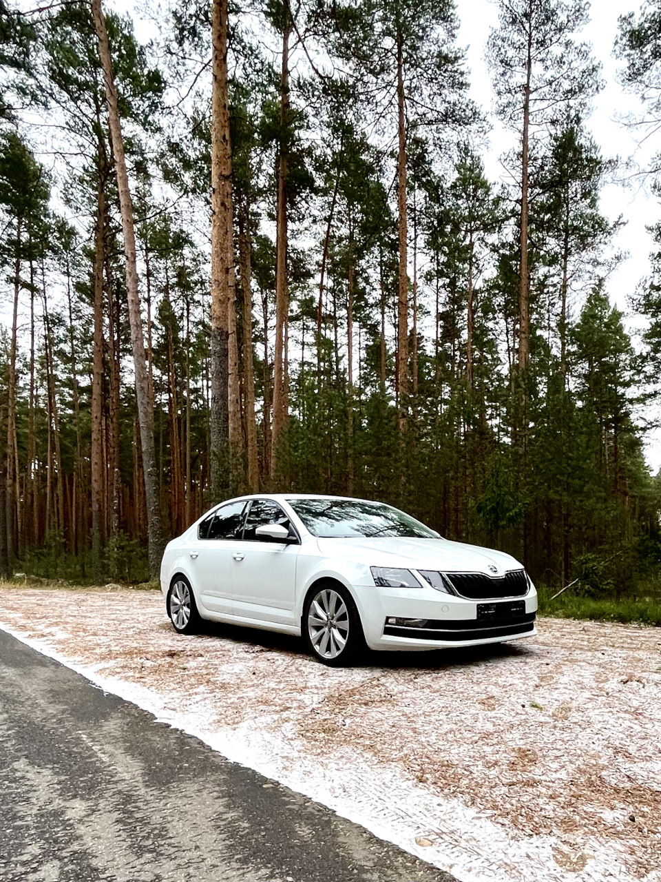 Фото на 235/40/18. Звук выхлопа. — Skoda Octavia A7 Mk3, 1,4 л, 2017 года |  покатушки | DRIVE2