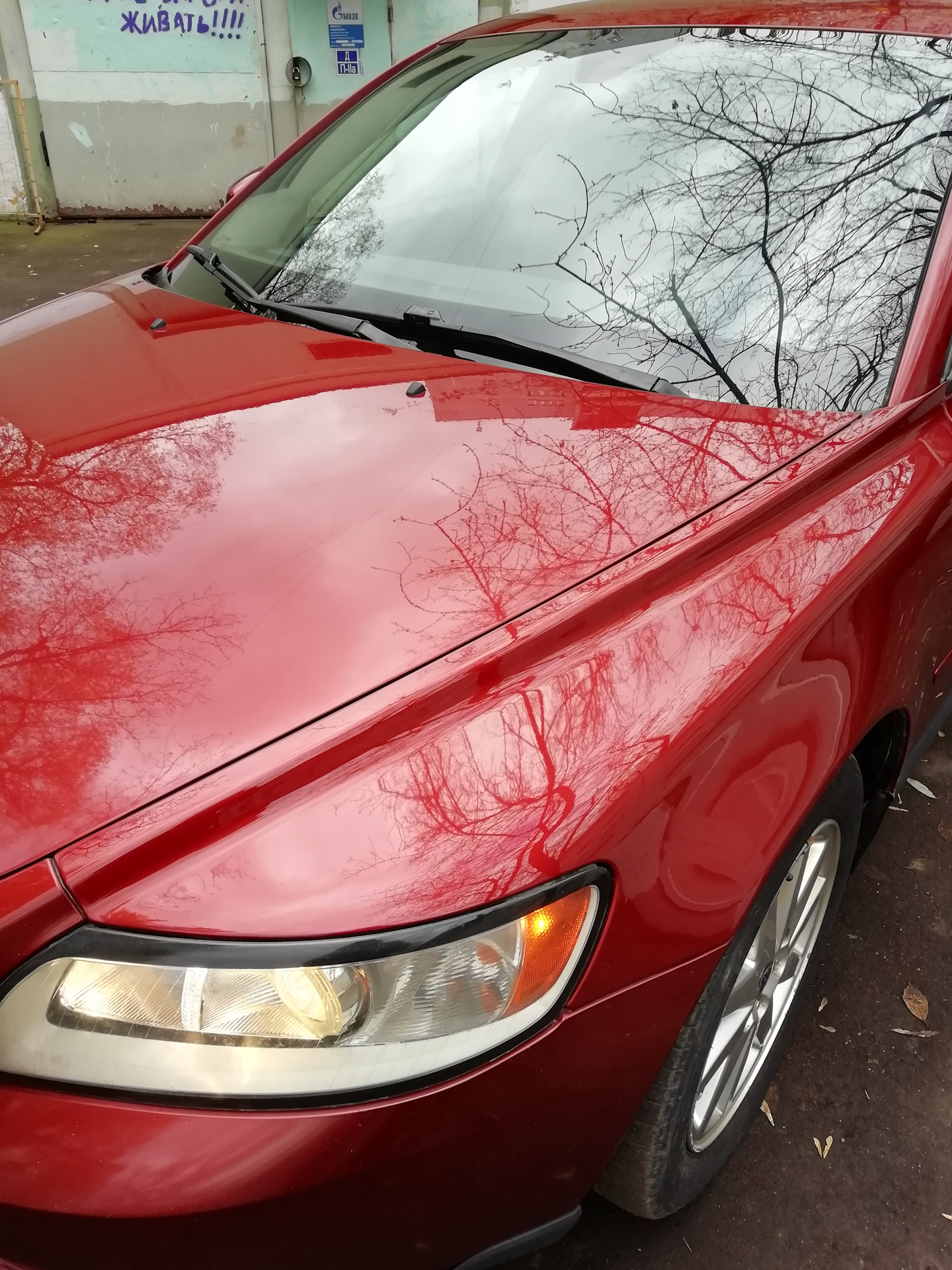 полировка крыла. полировка крыла. полировка крыла автомобиля до после. полировка авто. полировка крыла.