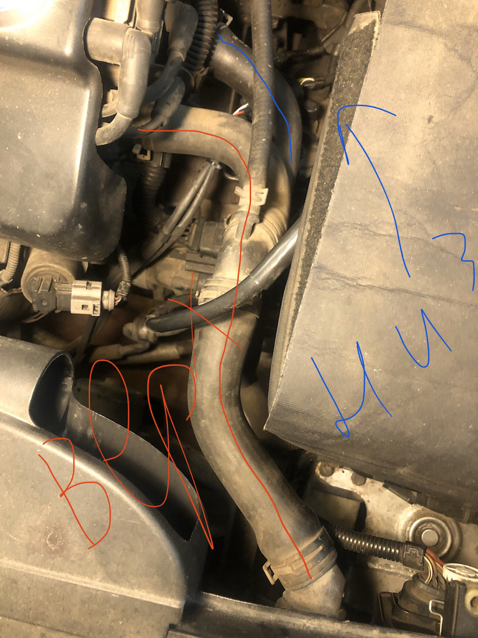 Вопрос по охлаждению. — Volkswagen Golf Mk4, 1,4 л, 2001 года | поломка ...