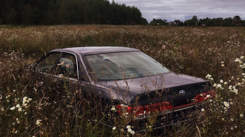 Toyota Mark II (100) 2.5 бензиновый 2000 | на DRIVE2