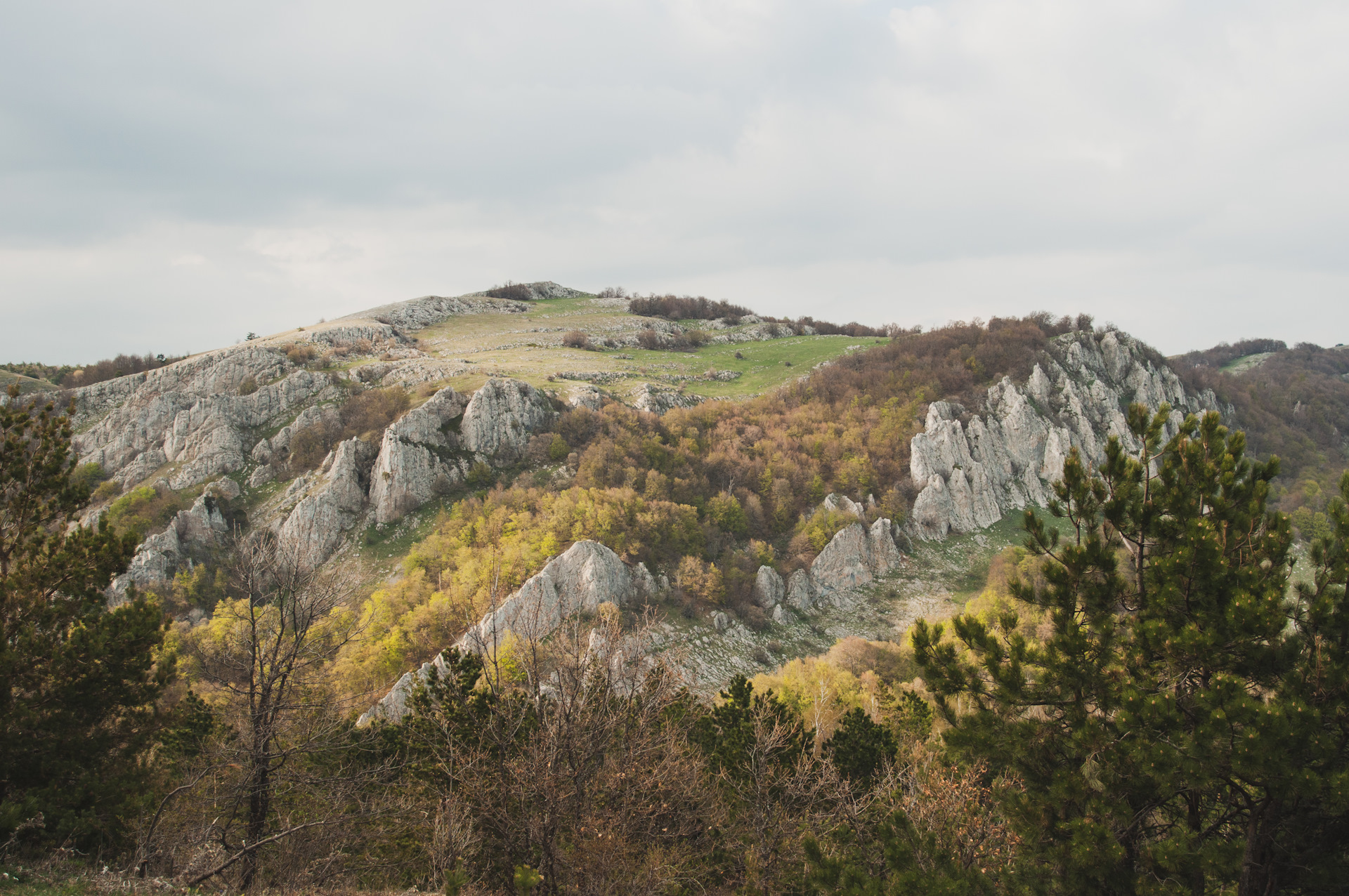 Лучистое Крым Фото