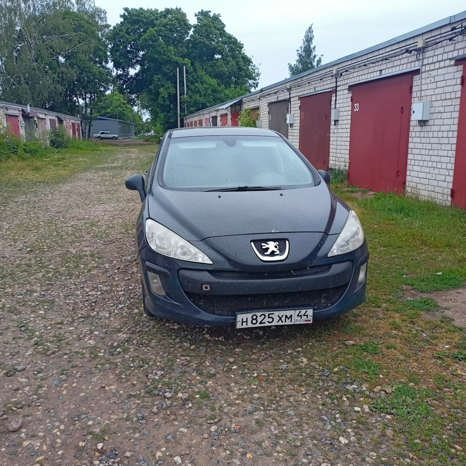 Всем спасибо, пыжик продан 😁 — Peugeot 308 (1G), 1,6 л, 2010 года |  продажа машины | DRIVE2