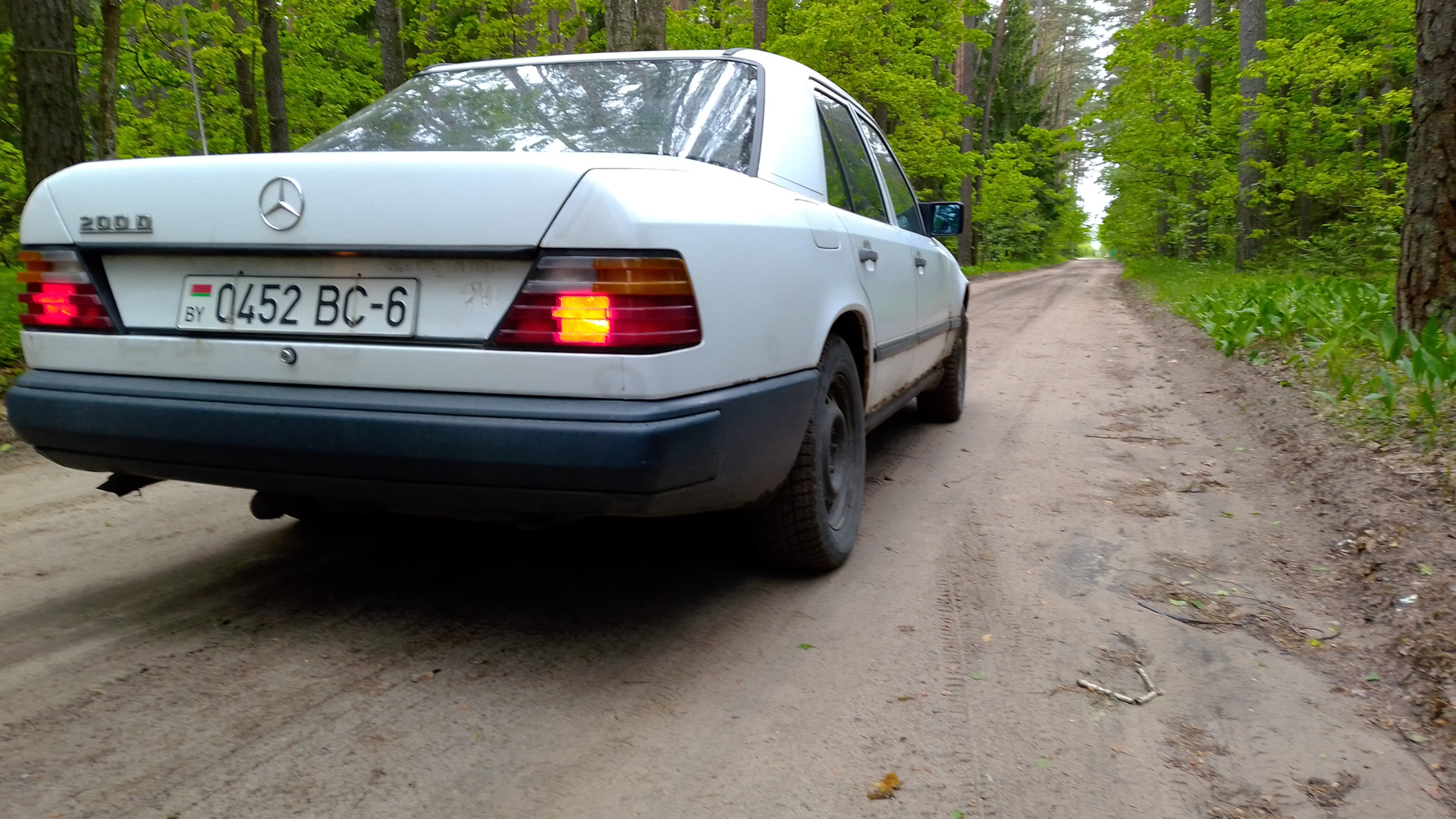 w124 сзади