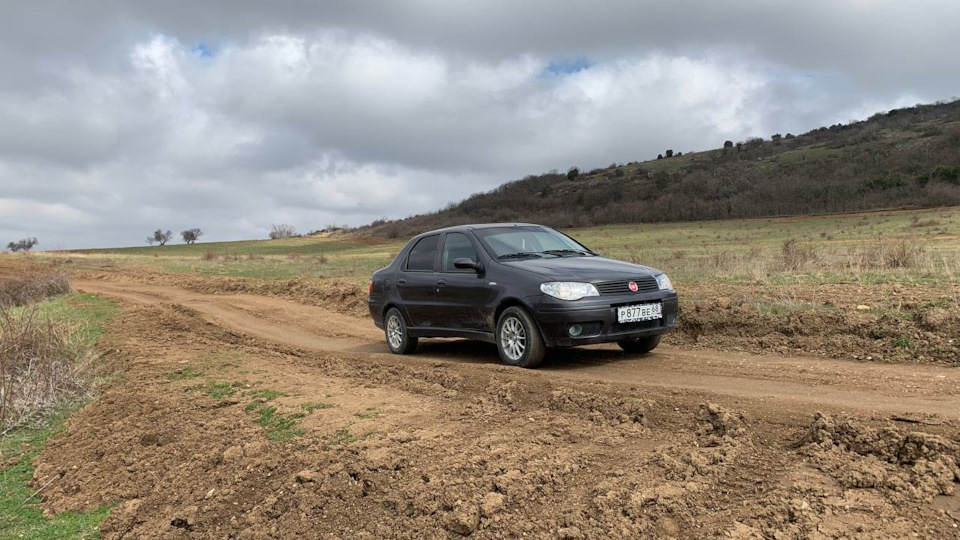 Продал фантика, остался фиксатор грм — FIAT Albea, 1,4 л, 2008 года ...