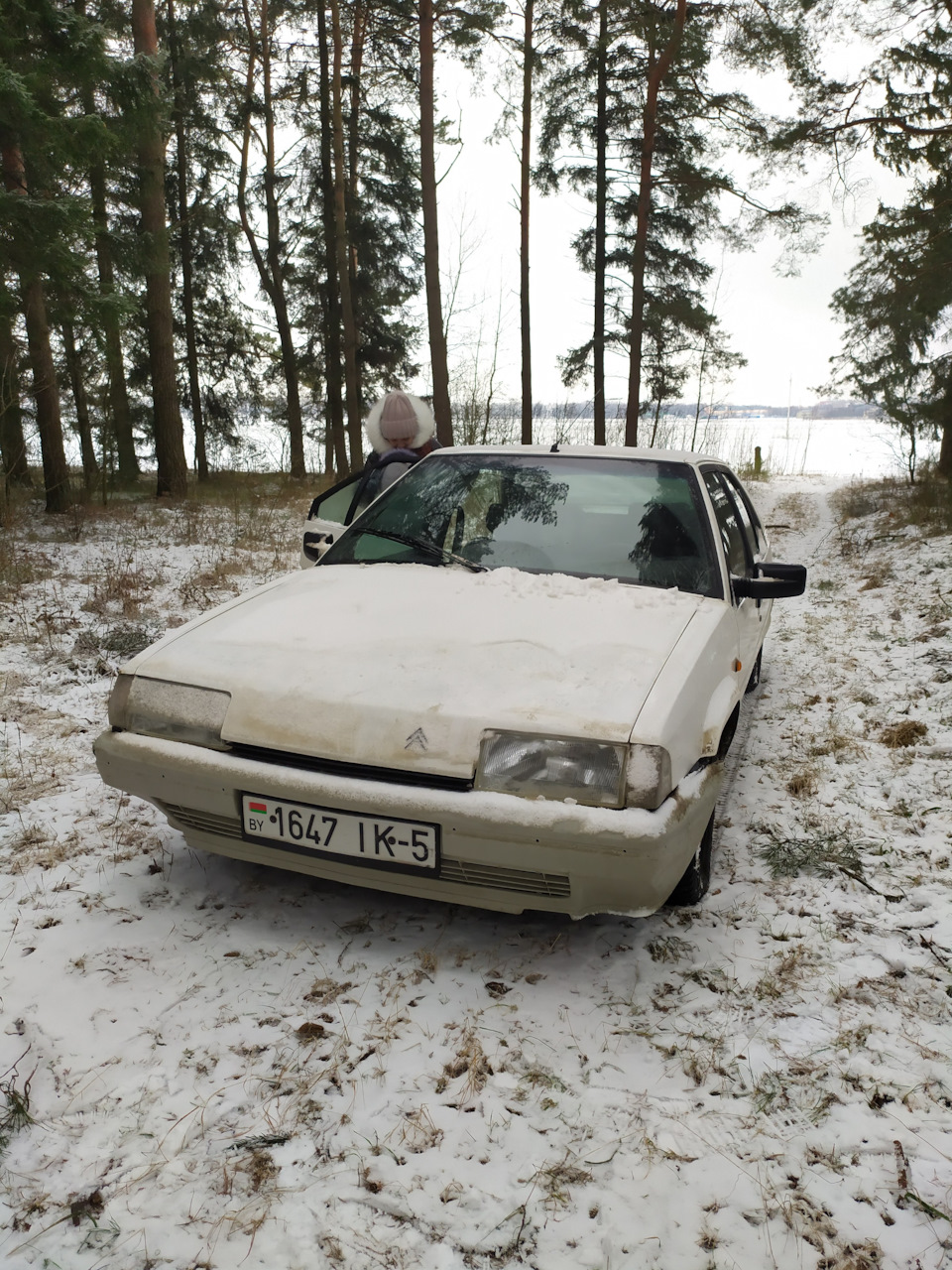 По машине за год. 2022 — Citroen BX, 1,6 л, 1986 года | наблюдение | DRIVE2