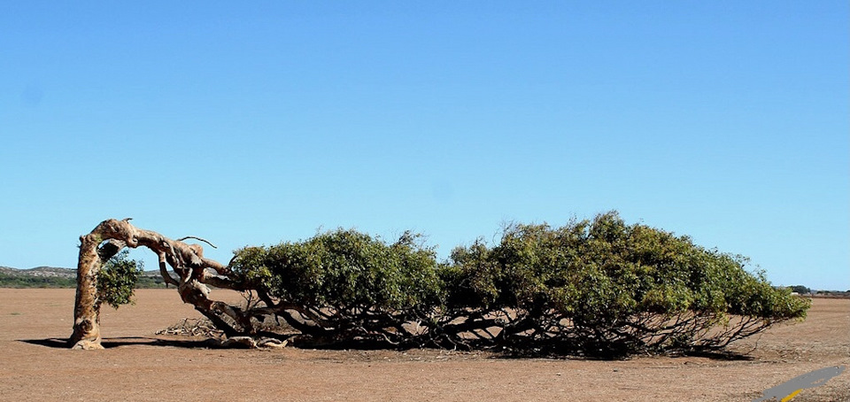 Замена тормозов на Хонда цивик — Grew Motors на DRIVE2