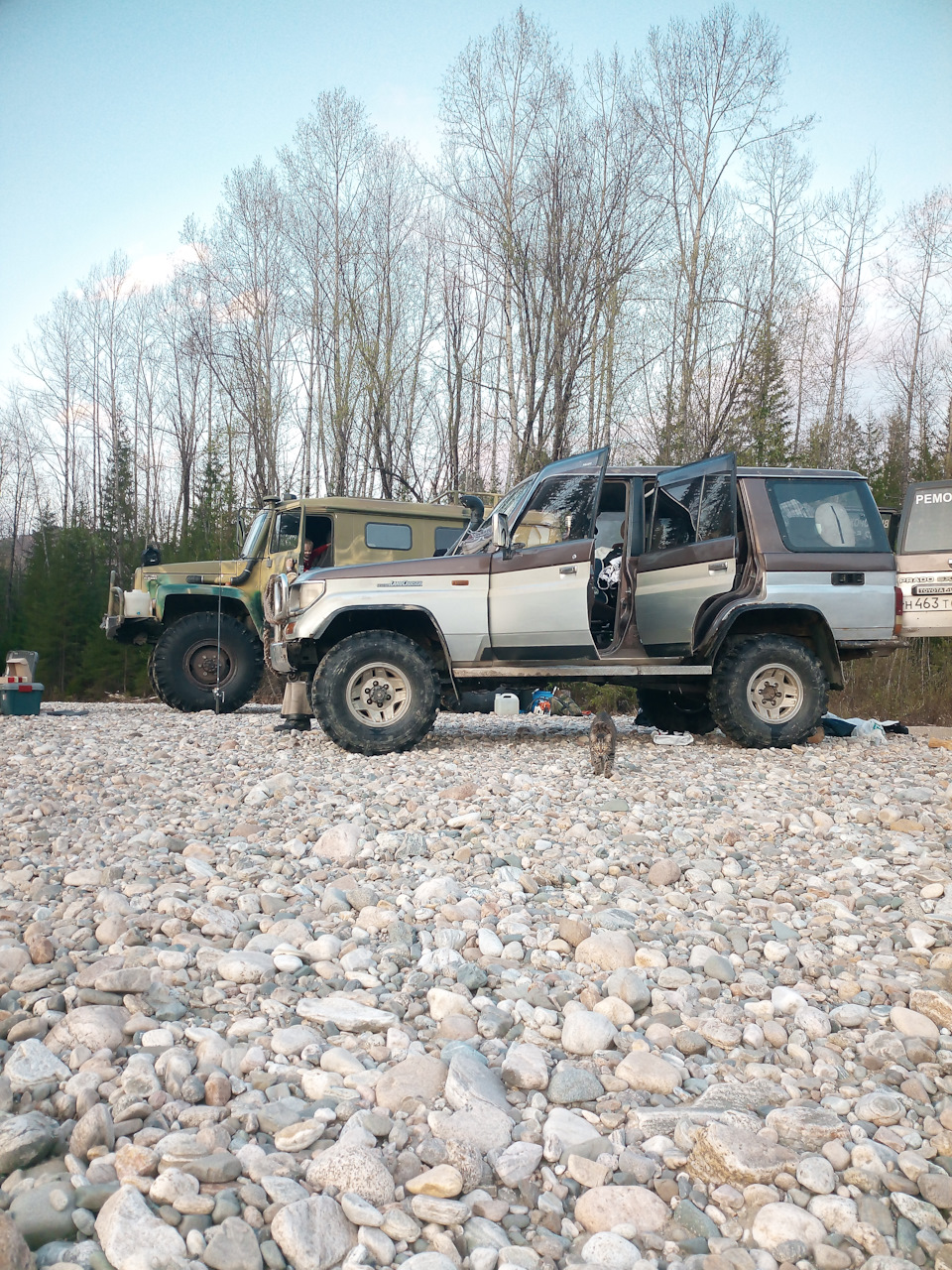 Мир, труд, май… Вернее лес, река, кот:) — Toyota Land Cruiser Prado  70-series, 3,2 л, 1991 года | путешествие | DRIVE2