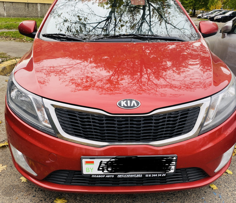 Получила номера — KIA Rio (3G), 1,6 л, 2014 года | покупка машины | DRIVE2