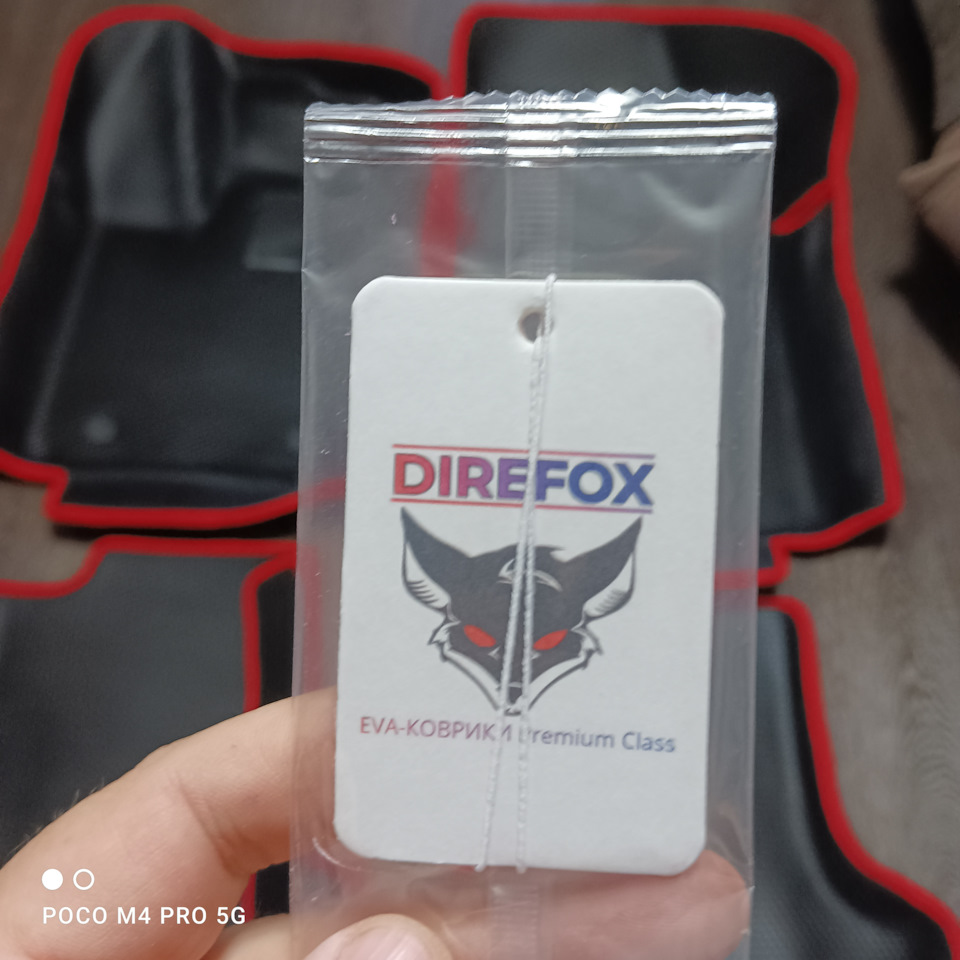 Фото в бортжурнале Renault Sandero 2G