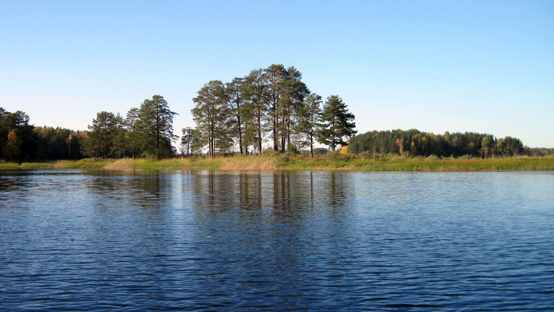 Озеро Городно Новгородская область. Озеро Городно Новгородская область фото.