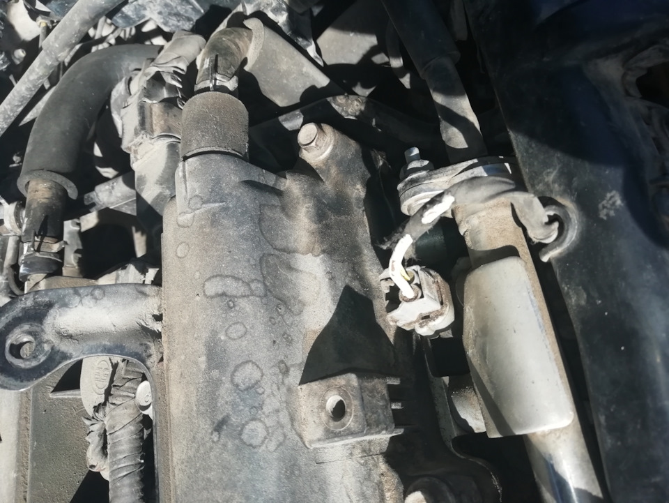 Мыши/крысы под капотом 2 — Hyundai Elantra (4G), 1,6 л, 2006 года ...