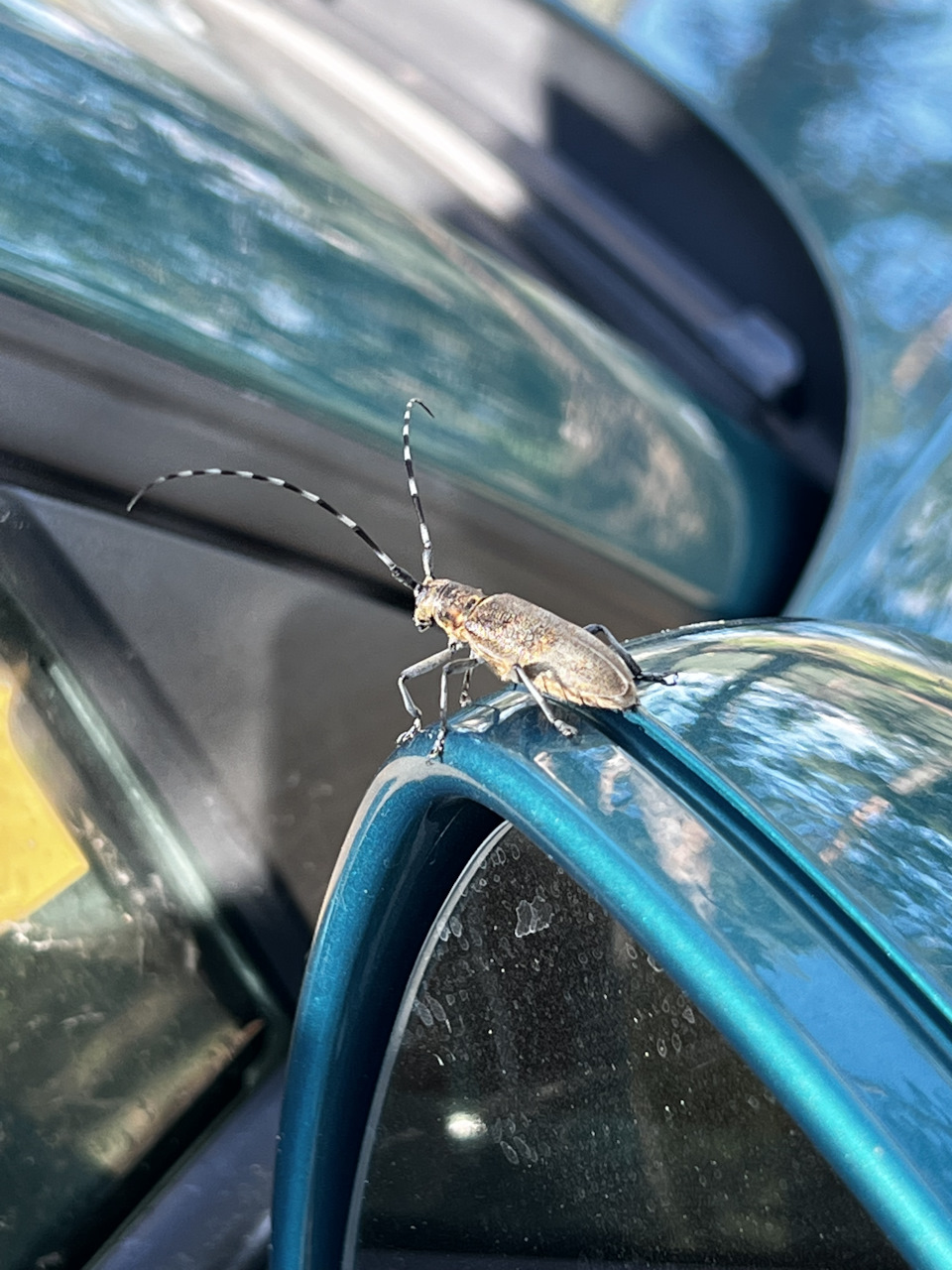 Фото в бортжурнале Audi TT (2G)