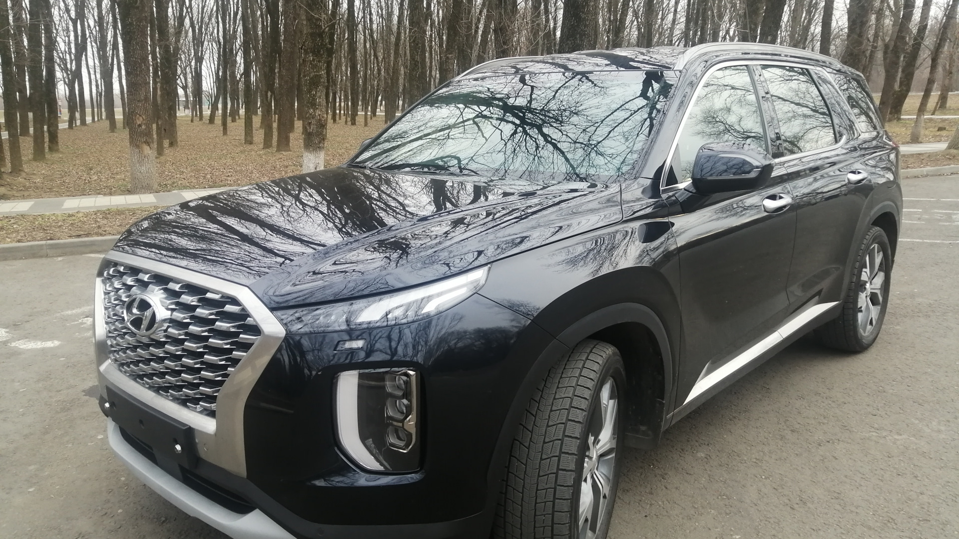 Hyundai Palisade 2.2 дизельный 2019 | Синий кит на DRIVE2