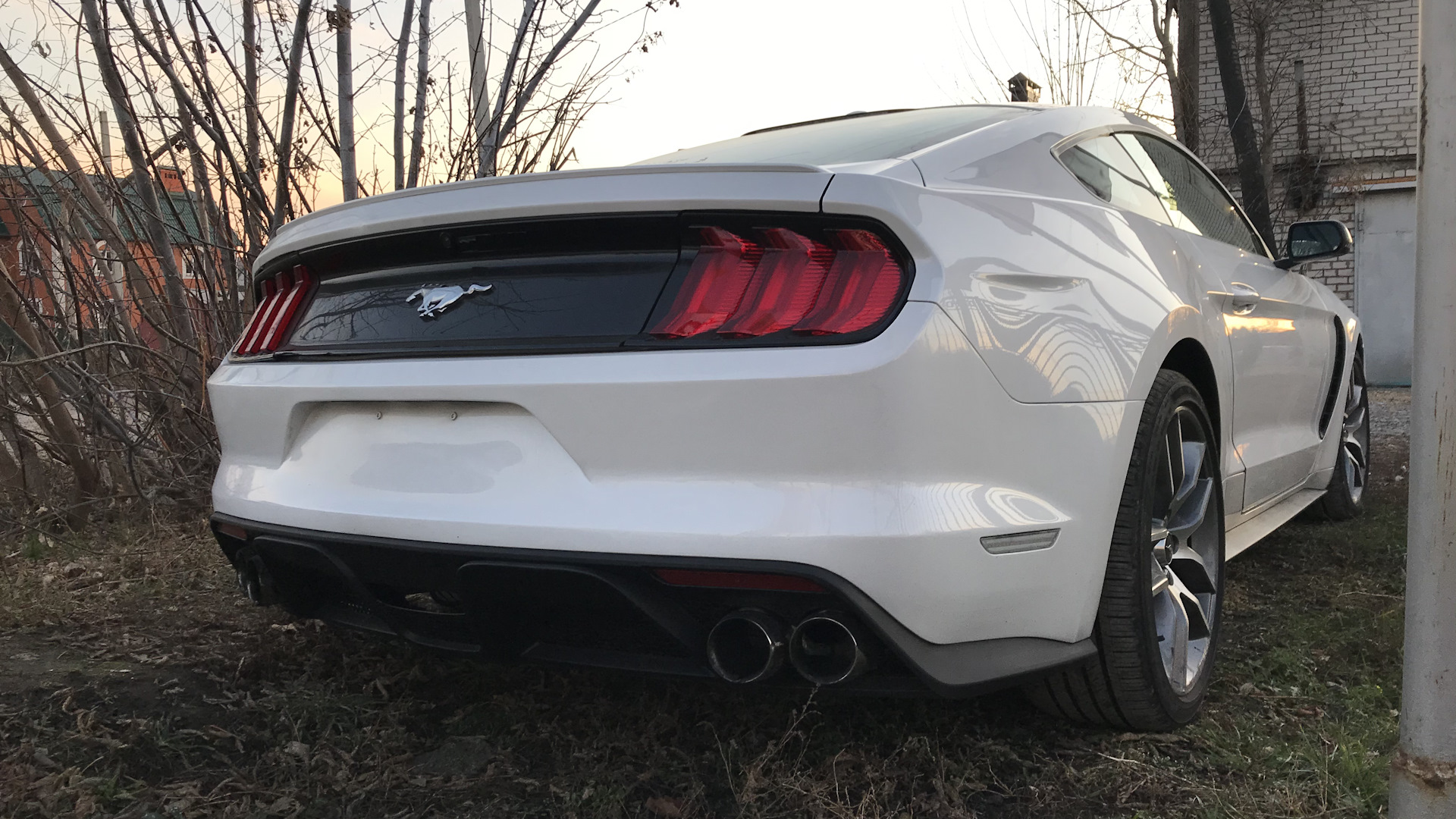 Ford Mustang (6G) 2.3 бензиновый 2017 | Белый-жемчуг на DRIVE2