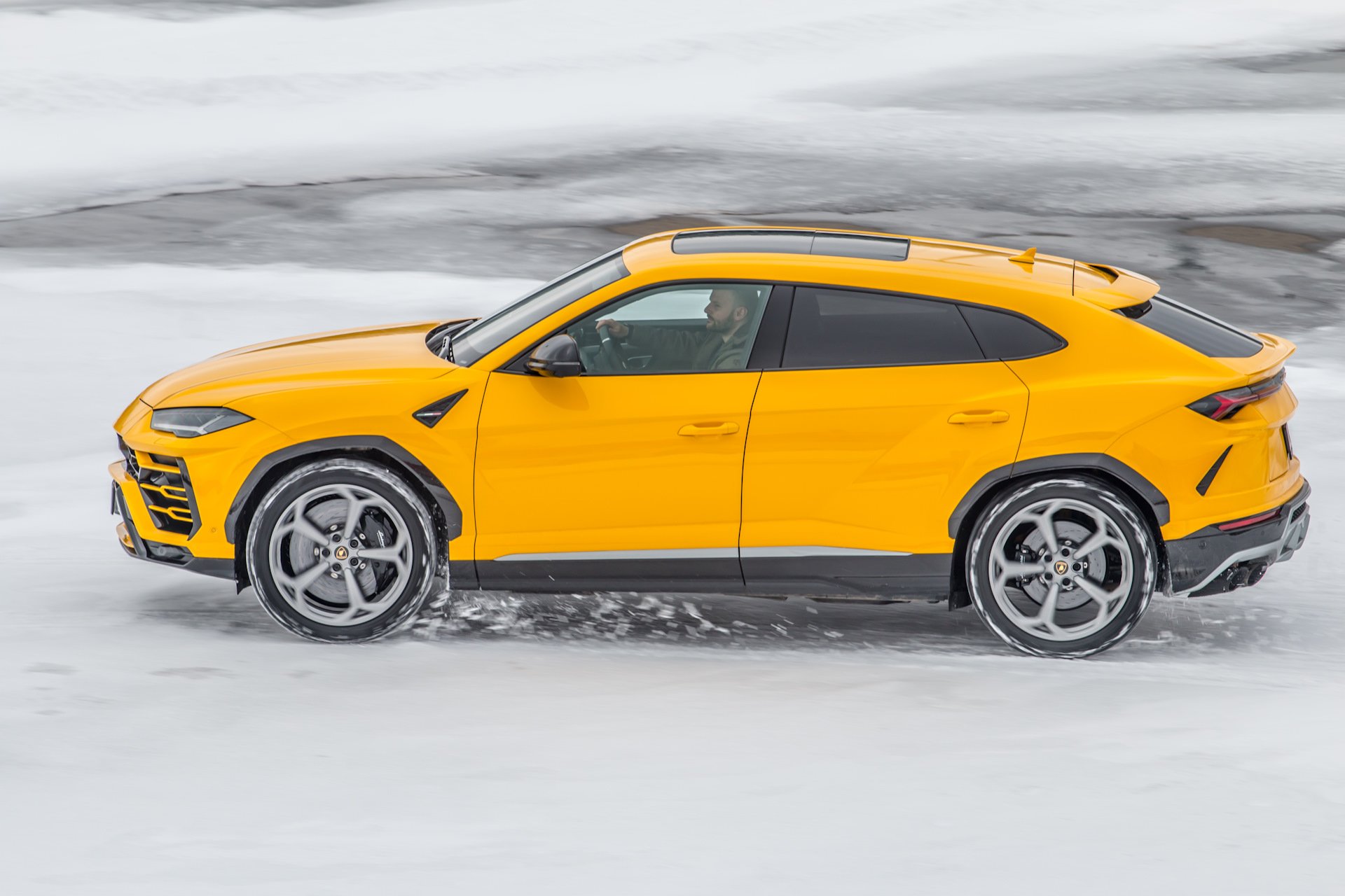 Lamborghini Urus бык