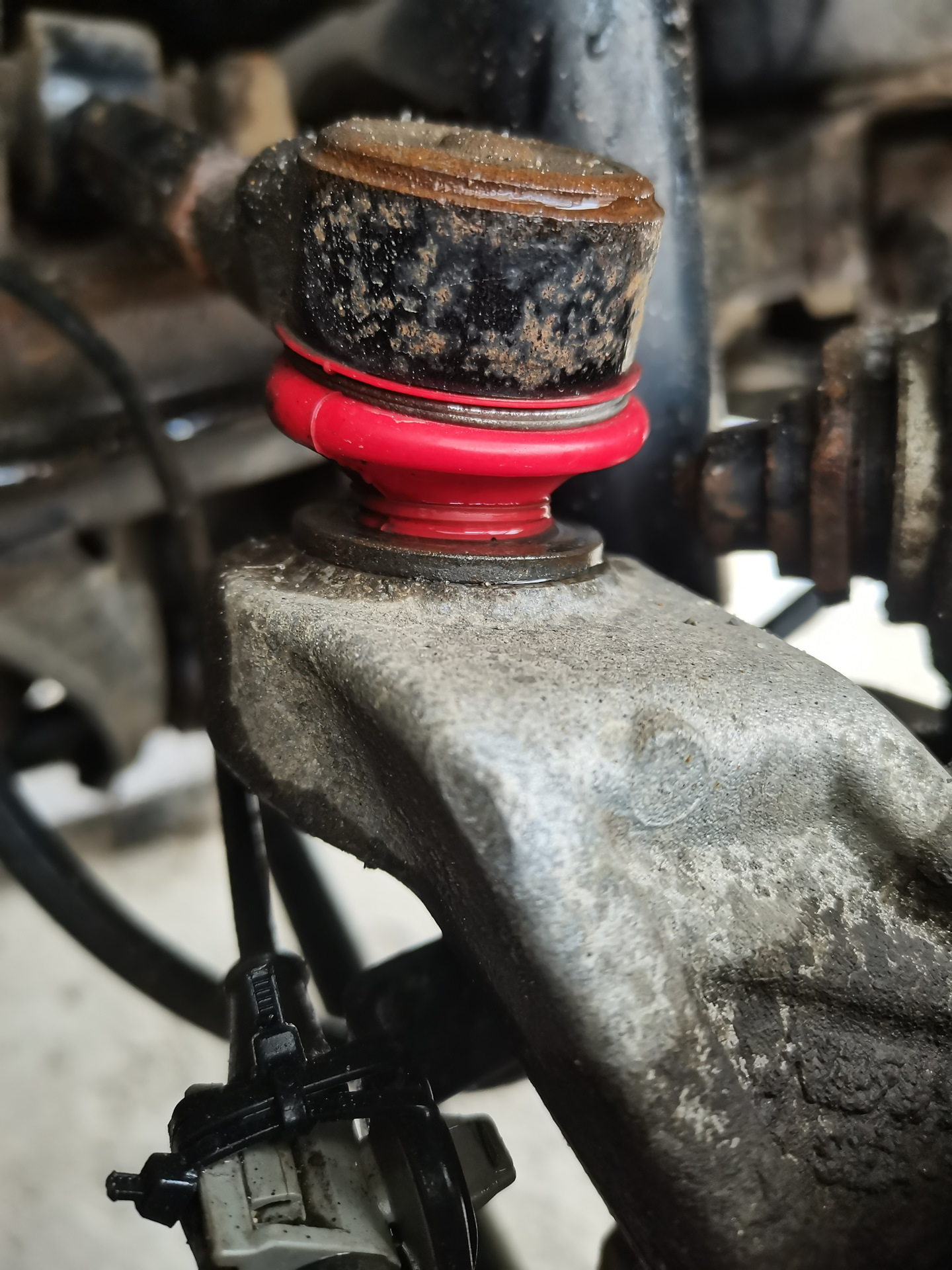 Задние развальные рычаги SAT спустя 35 т. км — Honda Accord (7G), 2 л ...