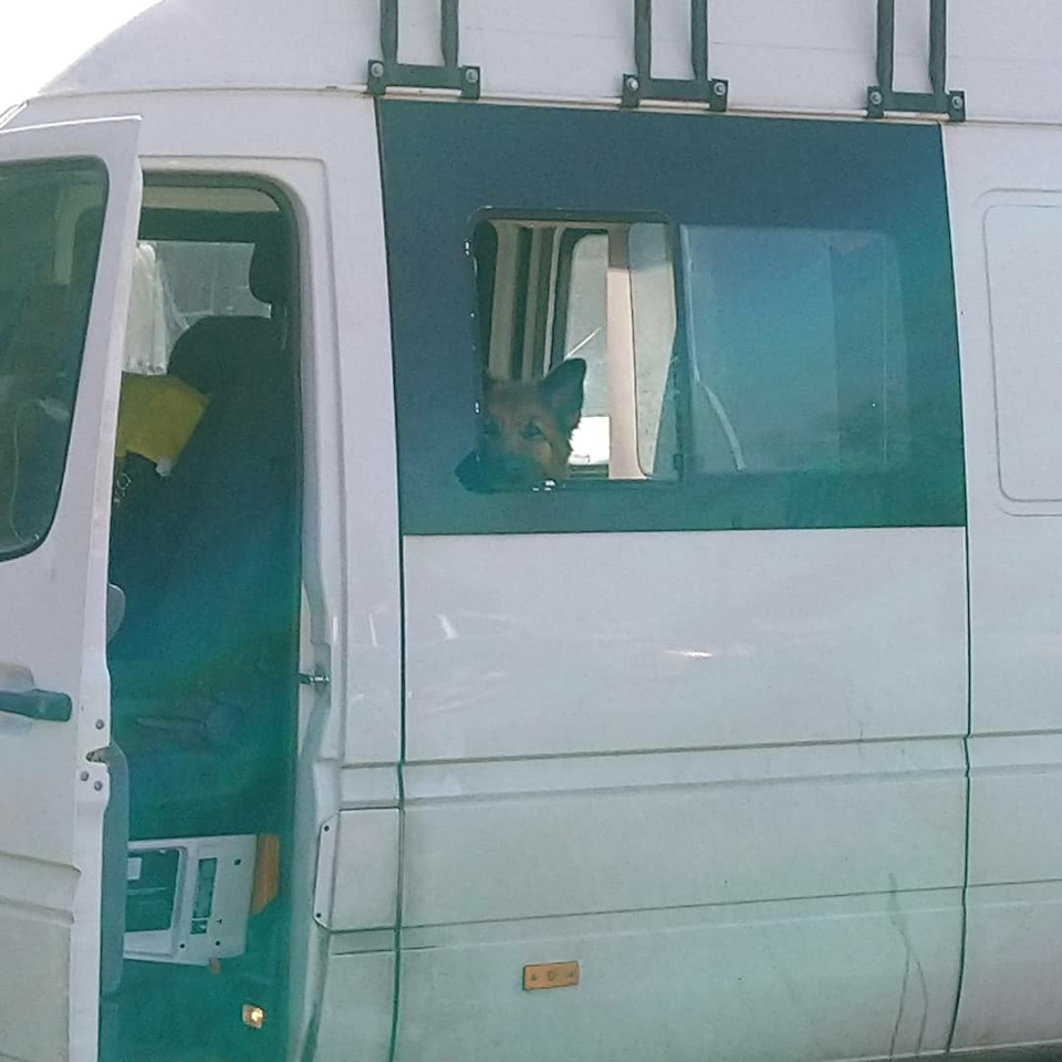 Автодом Mercedes Benz Sprinter 311 w909. Из недвижимости в движимость —  DRIVE2